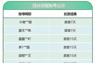 德国联赛上座率排名：多特居首拜仁第2 7支德乙队进入前15